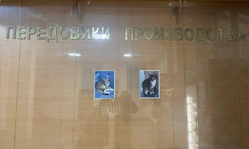 На одном из заводов Санкт-Петербурга выбрали лучших сотрудников.
В принципе и не поспорить.