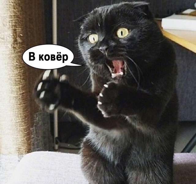 Бедняжка😨