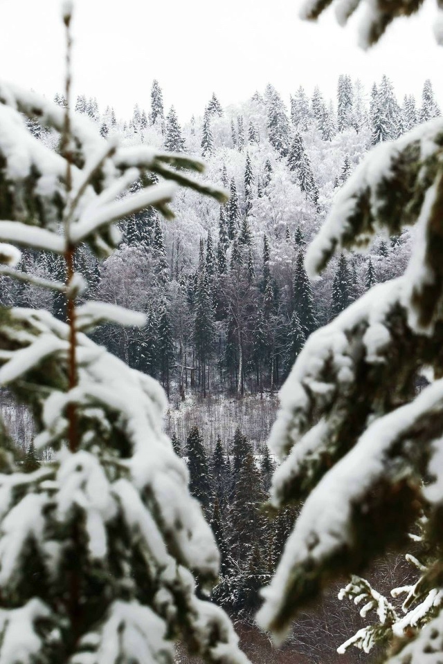 ❄️Снежный Красноуфимск в объективе Вадима Шамсияров?...