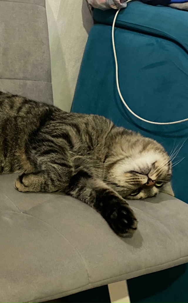 Наша ЛЮБОВЬ ЛЮБОВНАЯ🥰😻😽