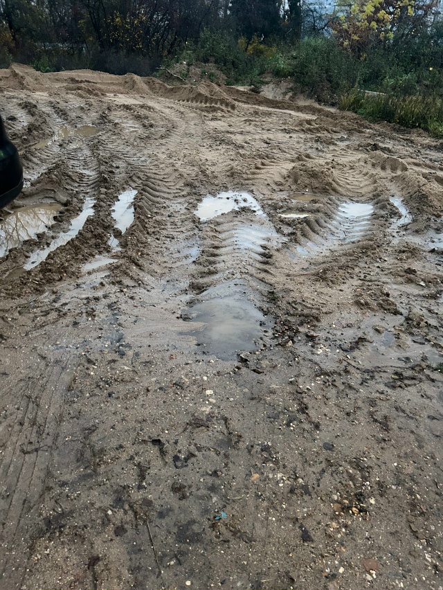 ЯНу по традиции к МЦУР…Конечно все прекрасно, парки ст...