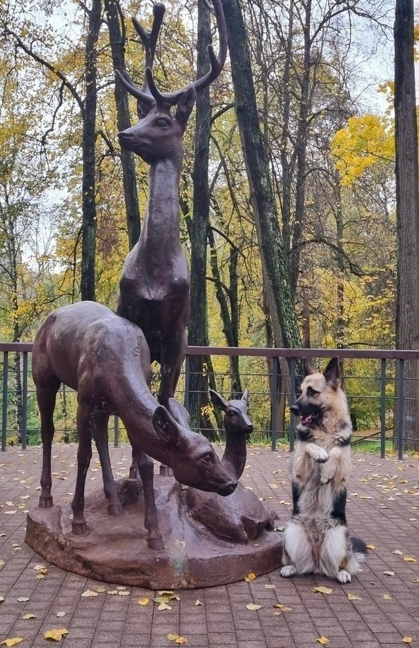 Всем хороших выходных!