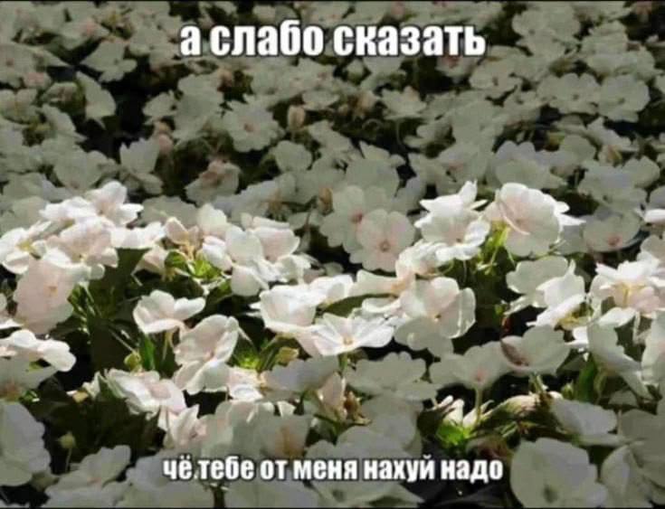 Старый знакомый: привет) как жизнь?
Моя честная реакция: