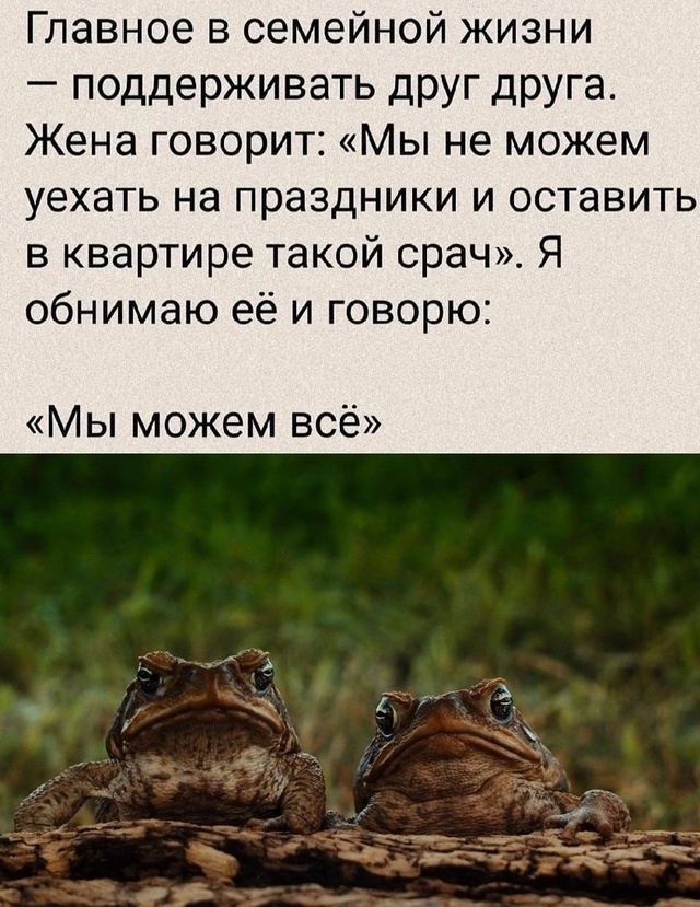 Главное поддержка 🤣