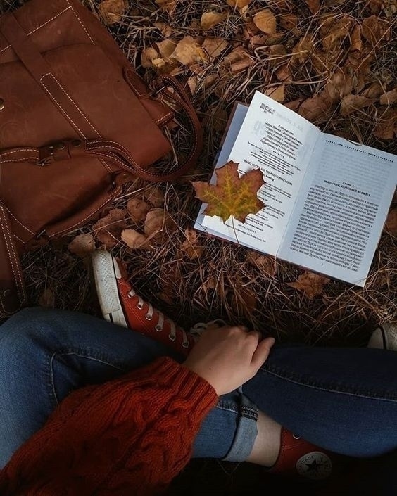 Сколько красоты в том, что зовётся мелочами✨