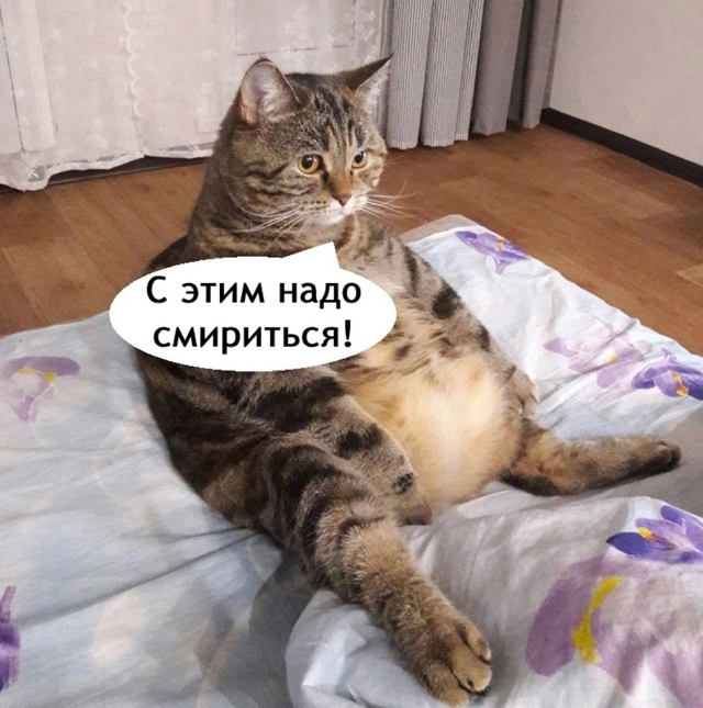Смирение это пусть к успеху