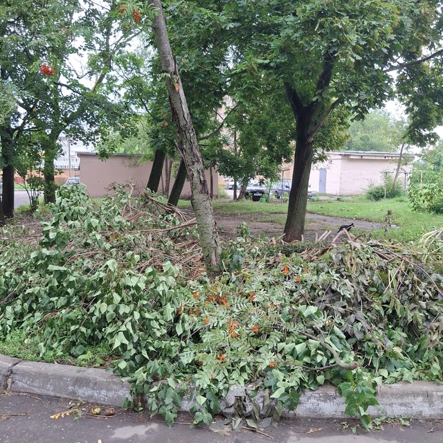 Пожалуйста, анонимно
Всем добрый день! Скажите, пожалу...