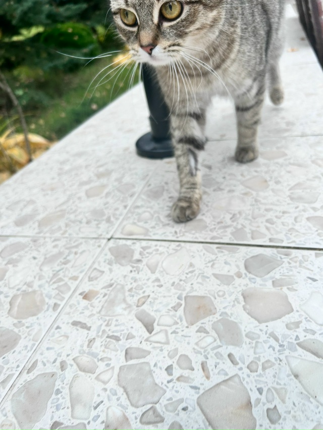 Кто потерял? Село Ильинское