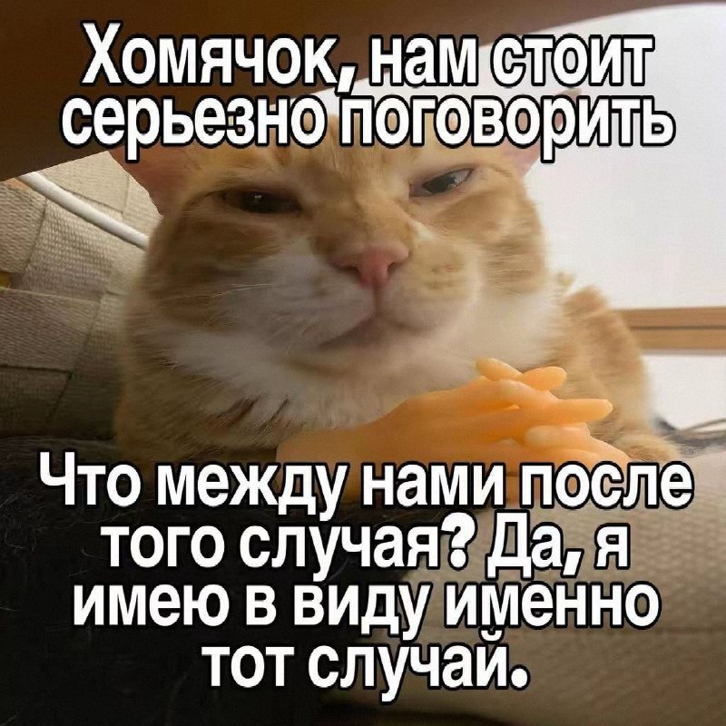 Утренняя подборочка