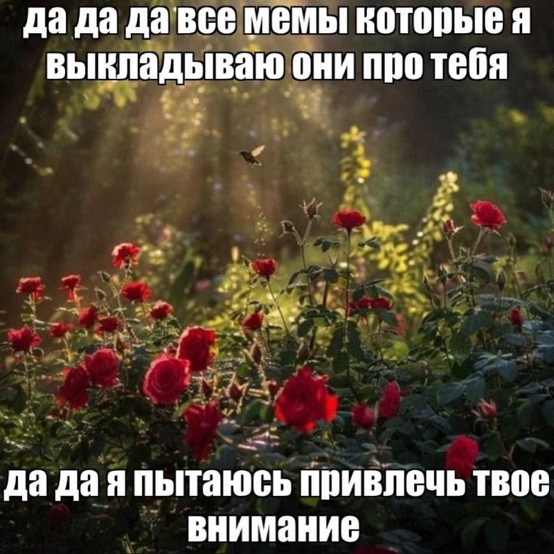 Утренняя подборочка