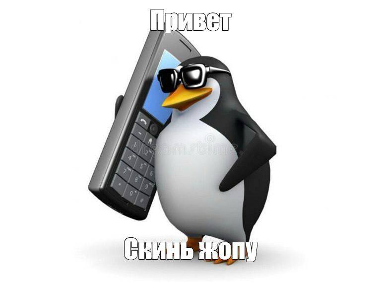 Сегодня отмечается День бесплатных нюдсов
В этот день каждый обязан порадовать друзей бесплатными г