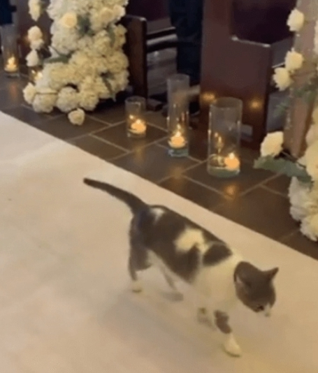 Почетная гостья на свадьбе