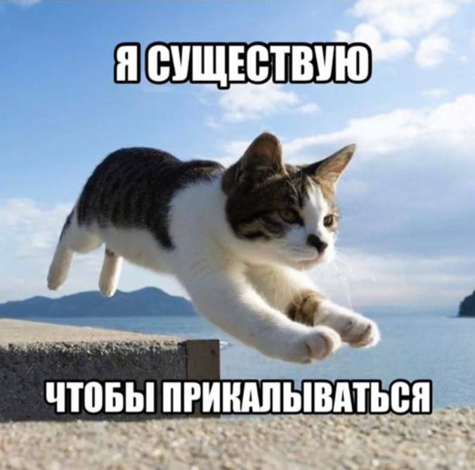 Утренняя подборочка