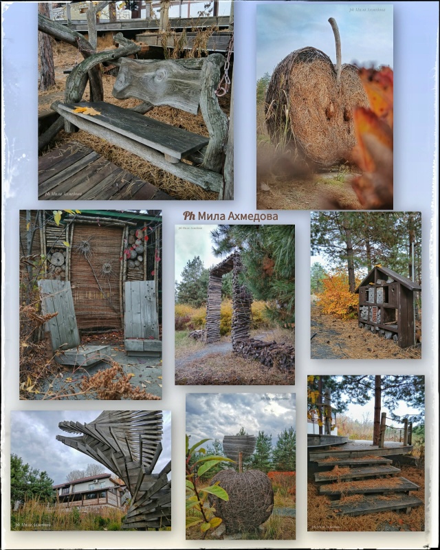 Осенний, атмосфено красивый парк перед отелем в Толья?...