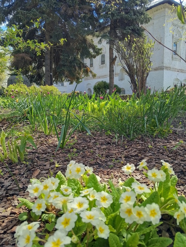 Май в Ярославском музее-заповеднике 🌱 Ярославль ❤️
?...