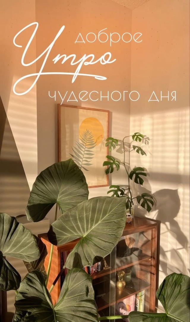 Доброе утро Подслушано!