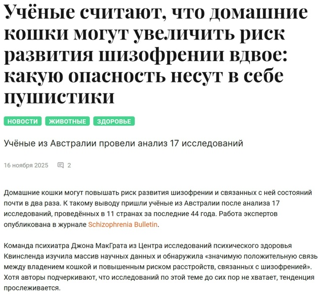 ☝ Кошатникам соболезнуем: пушистики могут вдвое увели...