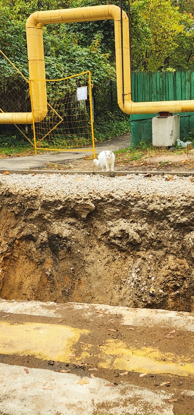 Осень в Балашихе😍