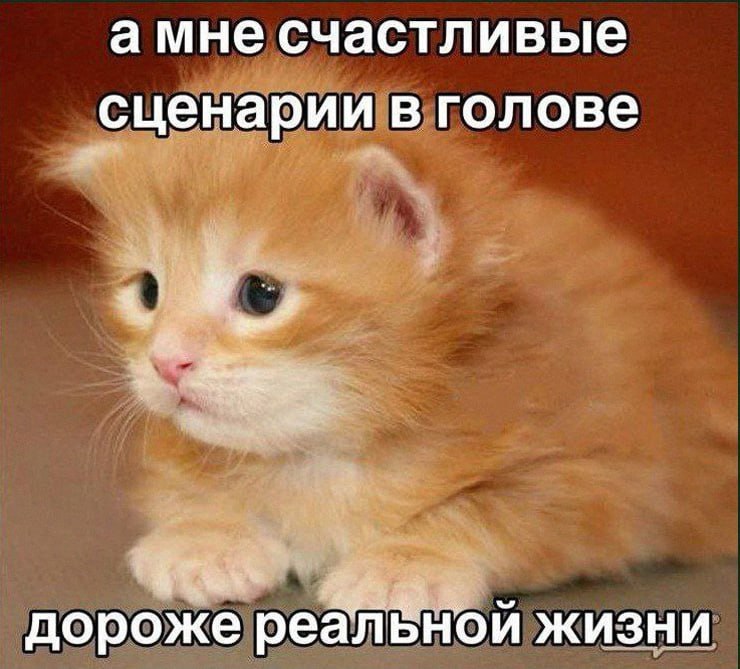 Утренняя подборочка