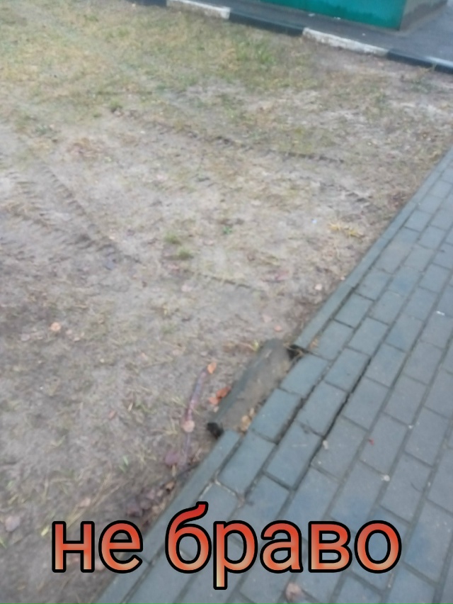 Господа комунальщики сегодня посторались на ул.Маяков...