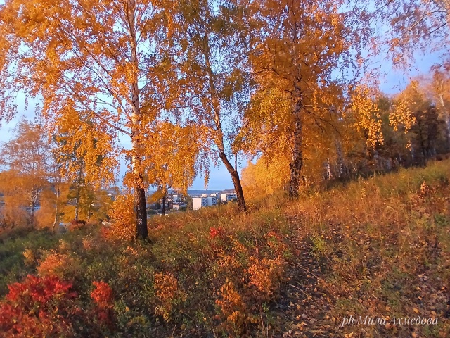 Наш город - это не просто дом. ??
Это место, где мы жив?...