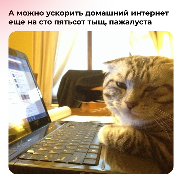 Отличная новость для мультифункциональных людей в Кур...