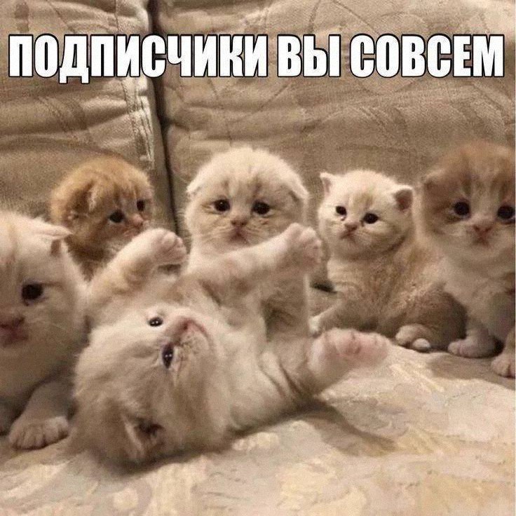 Утренняя подборочка