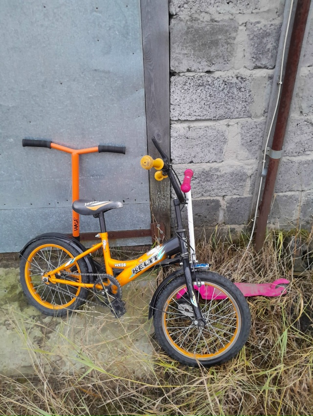 Чьи потеряшки? Писать в личку.