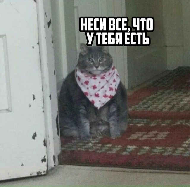 🌩 Во время магнитных бурь врачи рекомендуют налегать ...