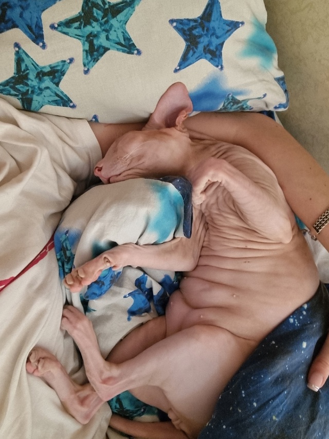 Всем привет! Мы тут новенькие, хотя и давно следим )
Зна?...