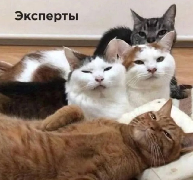 Они же лучше знают