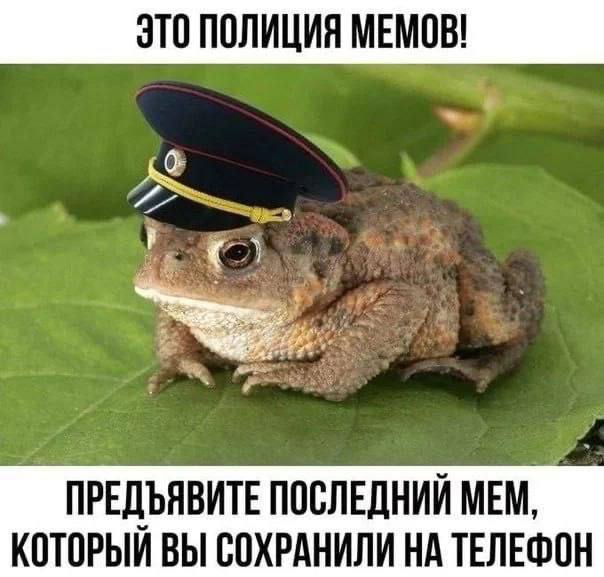 Мемббота, друзья. Вы знаете, что делать
