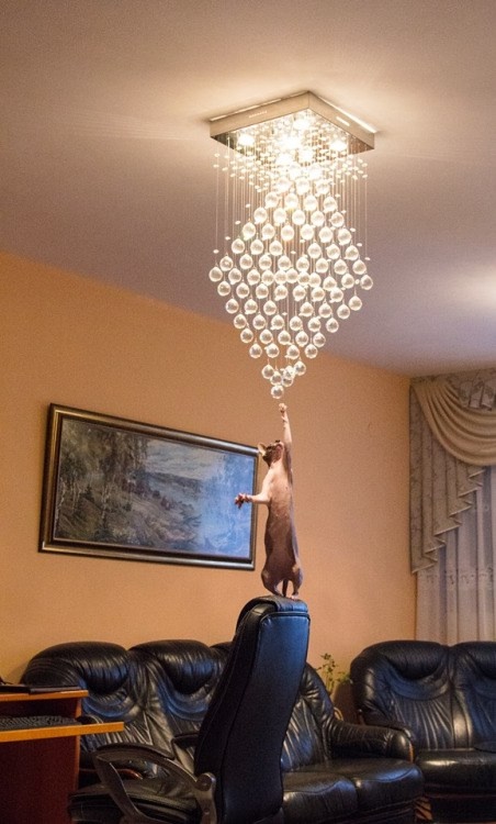 За секунду до грандиозного шухера...😂