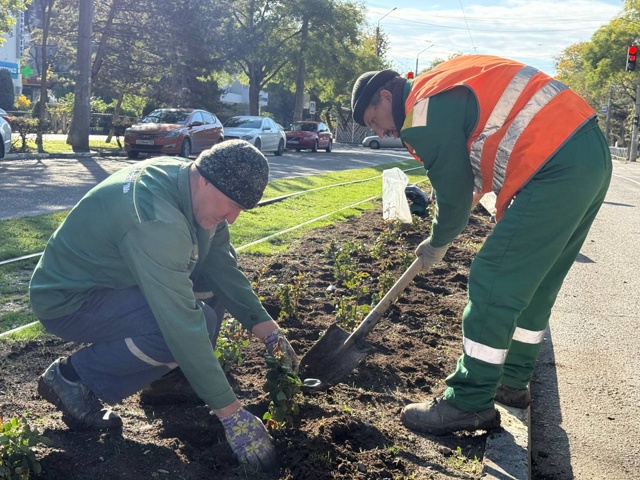 🌹Улица Фрунзе продолжает преображаться.
Озеленители...