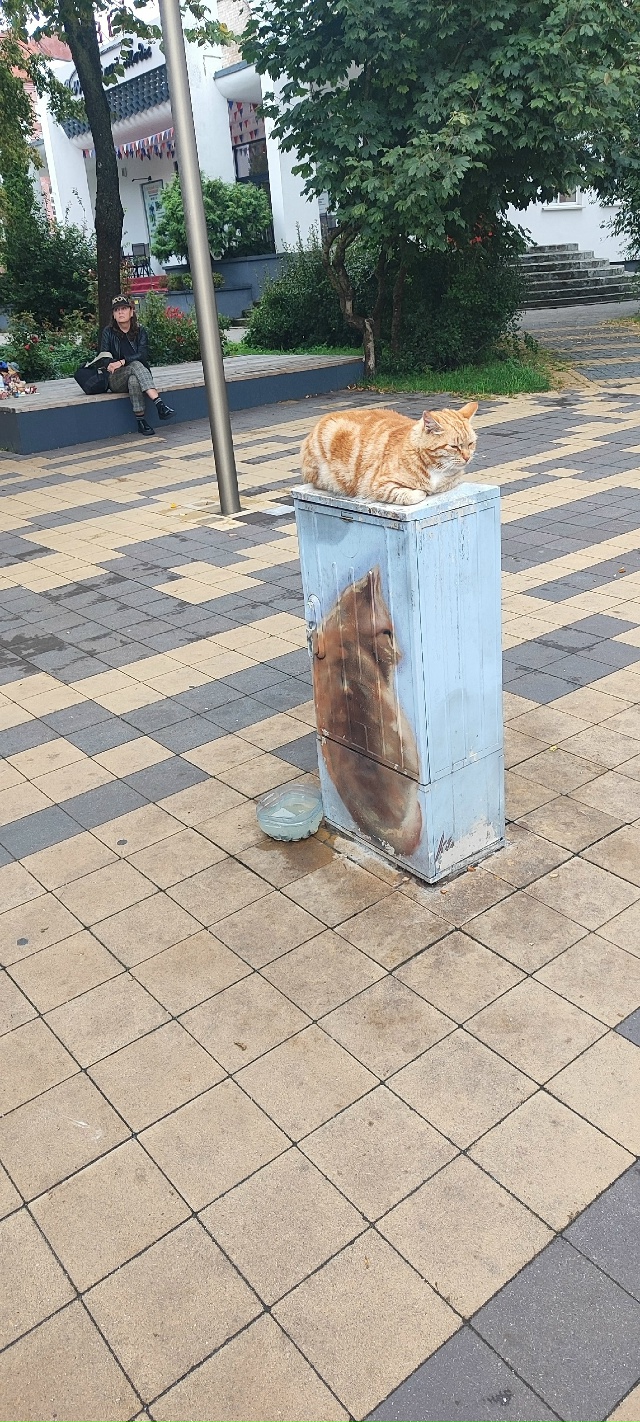 Зеленоградск