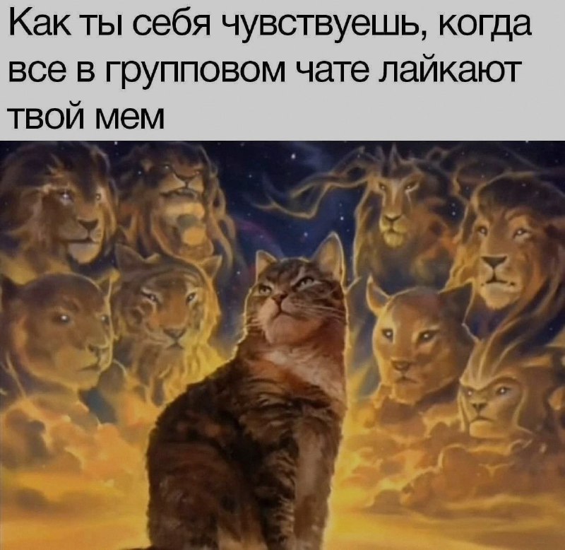 Ночная подборочка
Выходные, не спим