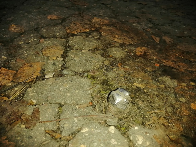 Видно Коношская администрация не ходит по тротуарам п?...