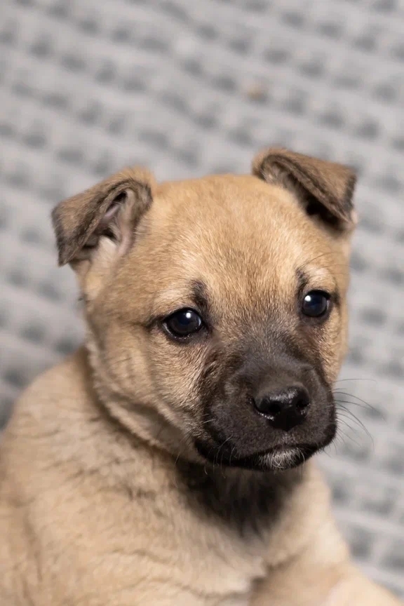 Очень милый малыш с немного грустными глазками и необы...