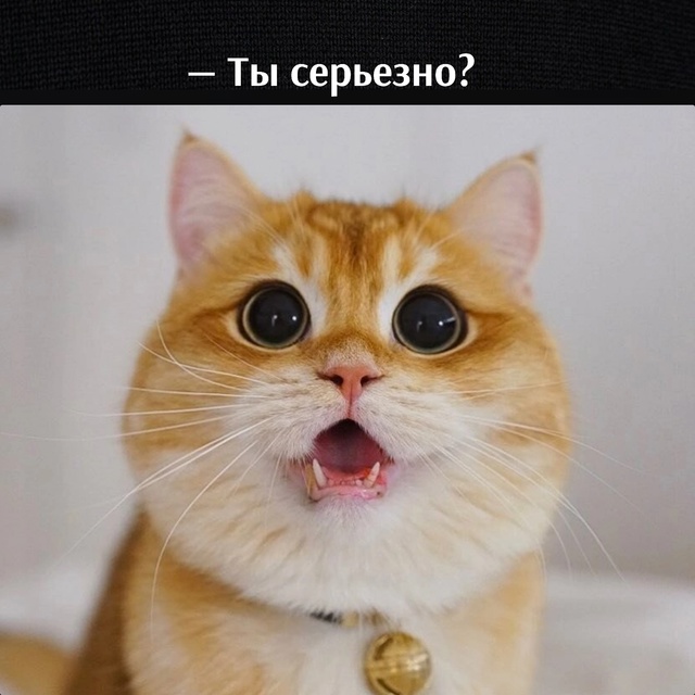 😂😂😂
