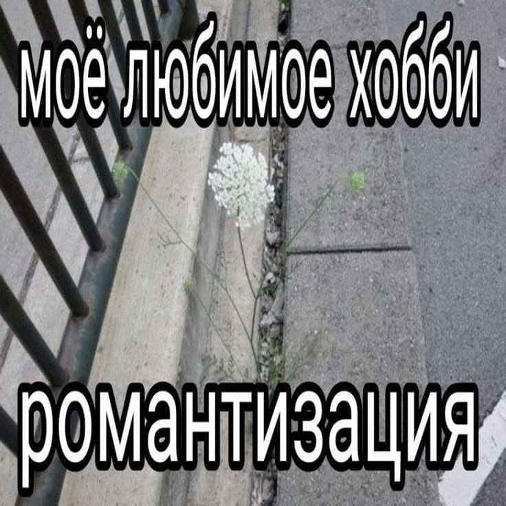 Утренняя подборочка
