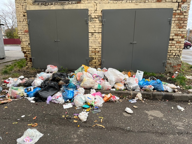 Сенько 8 через дорогу площадка для мусора!!!Но нет кому-?...