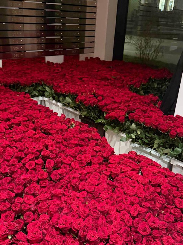 🌹 Кто-то настолько провинился, что подарил розы почти на 70 миллионов рублей
В ЖК «Настоящее» в Ра