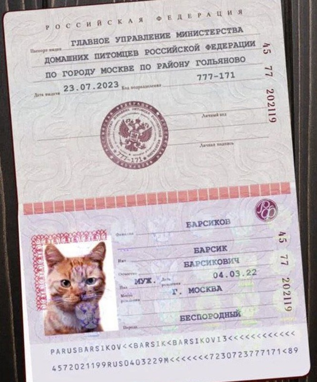 В Рocсии пpедлaгaют ввести cиcтему идентификaции домaшниx ?...