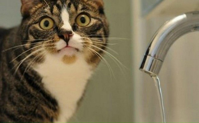 💧Жителям Свердловска предстоит запастить водой. ...