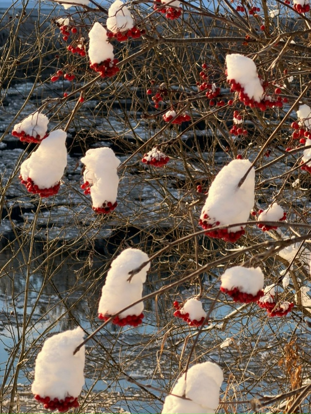 📷 Чудесные снежные фотографии Вельска сделала Натали...