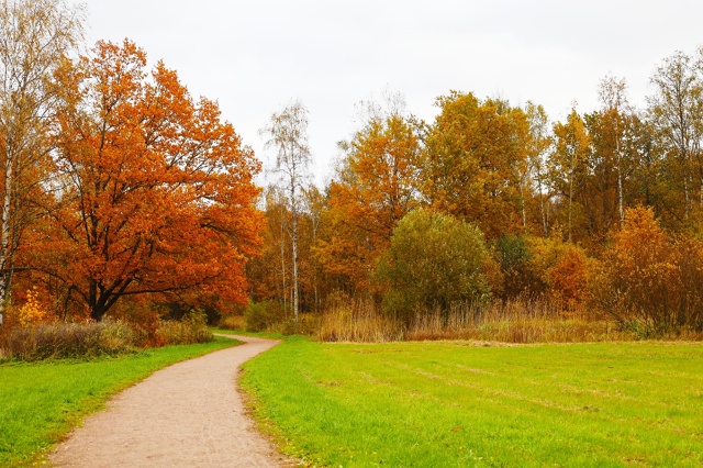 Осенний Петергоф. Фото: Анастасия Смирнова.