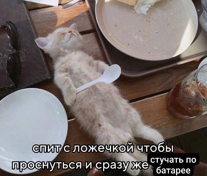 Утренняя подборочка