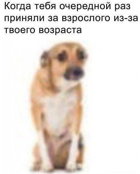 мемббота, друзя 🙄