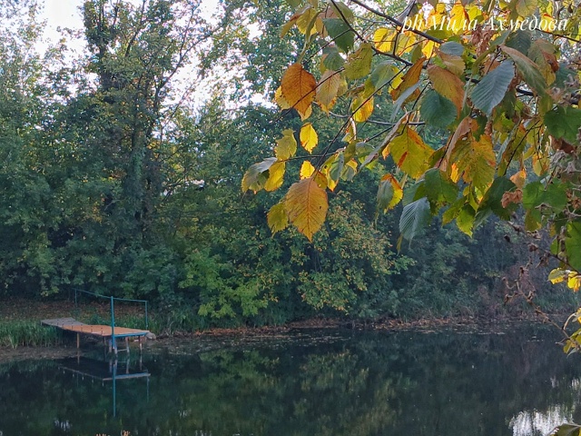 Наш Самарский край осенью - это настоящее волшебство...