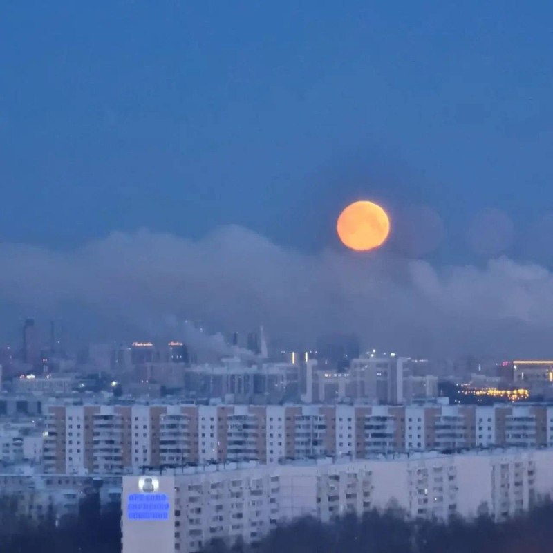 🌒 В небе несколько лун
Такую оптическую иллюзию можно увидеть из-за сильного мороза и высокой влажн